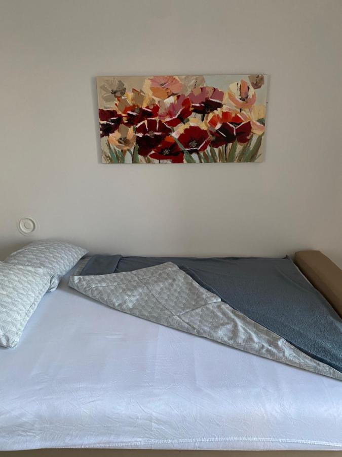 Apartman Colapis- Self Check In, Free Parking, Premium Location! Karlovac Dış mekan fotoğraf