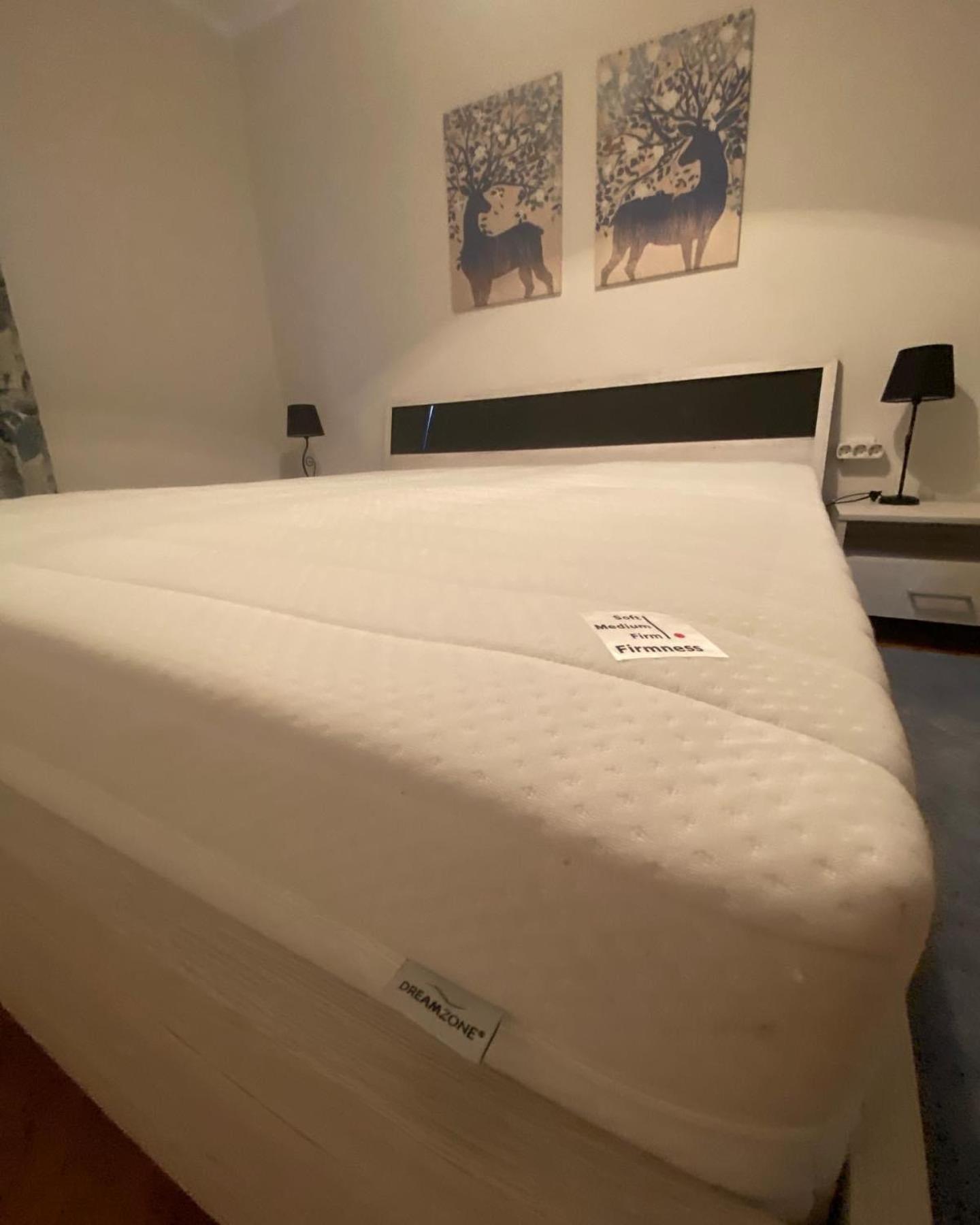 Apartman Colapis- Self Check In, Free Parking, Premium Location! Karlovac Dış mekan fotoğraf